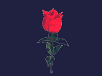 pic for ROSE  320X240